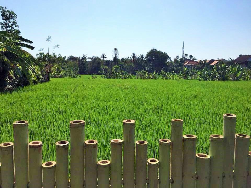 Bali Green Hostel Seminyak  Ngoại thất bức ảnh