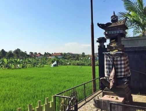 Bali Green Hostel Seminyak  Ngoại thất bức ảnh